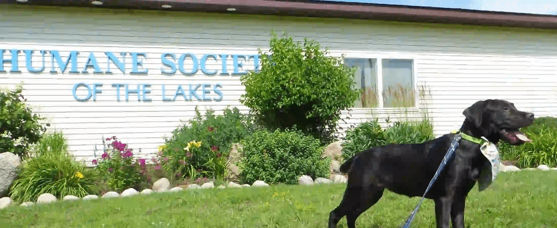 Humane Society of the Lakes-2