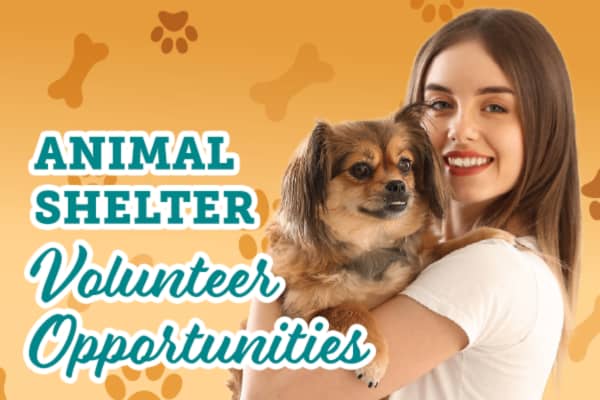 Midwest Animal Rescue 