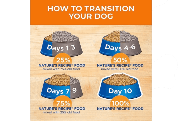 How to Transition Your Dog To Nature's Recipe Dry Dog Food 