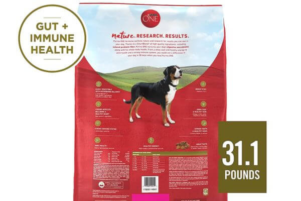 Purina ONE Dry Dog Food Lamb and Rice Formula