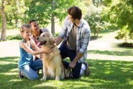 Benefits Of Canine Ownership