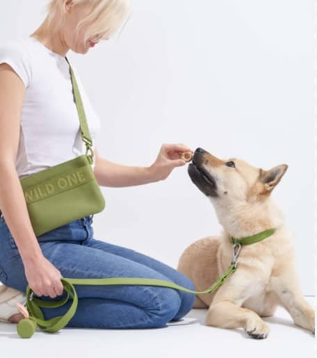 Dog Poop Bags Holder