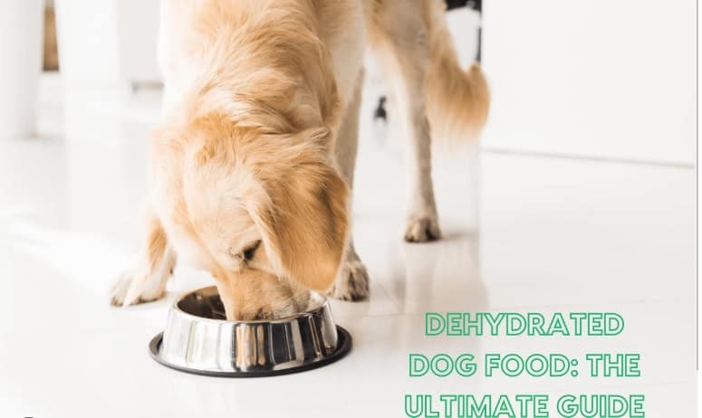 dehydrated dog food