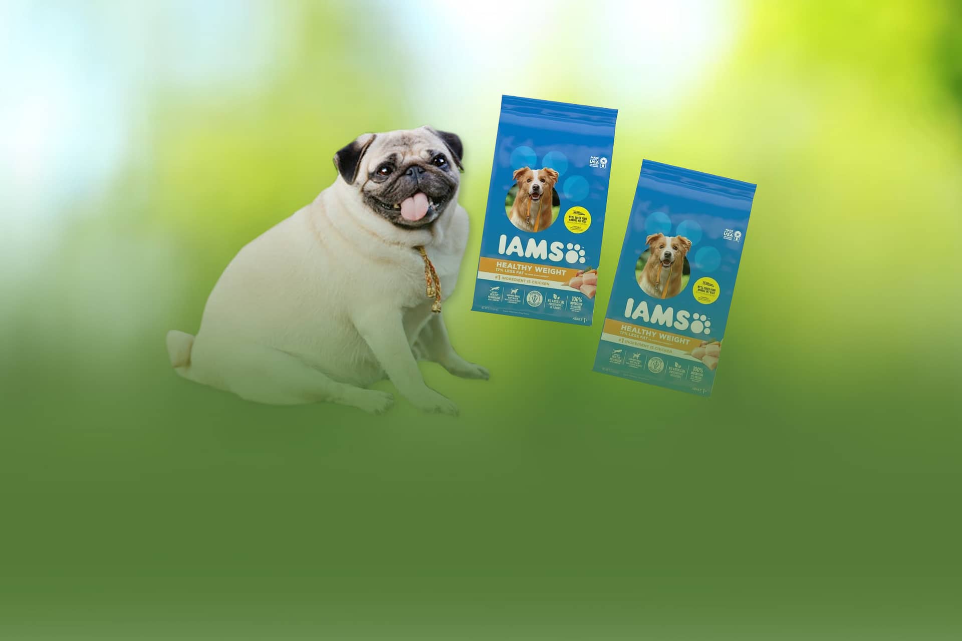 IAMS Adult Healthy Weight Control Dry Dog Food With Real Chicken Food  Reviews