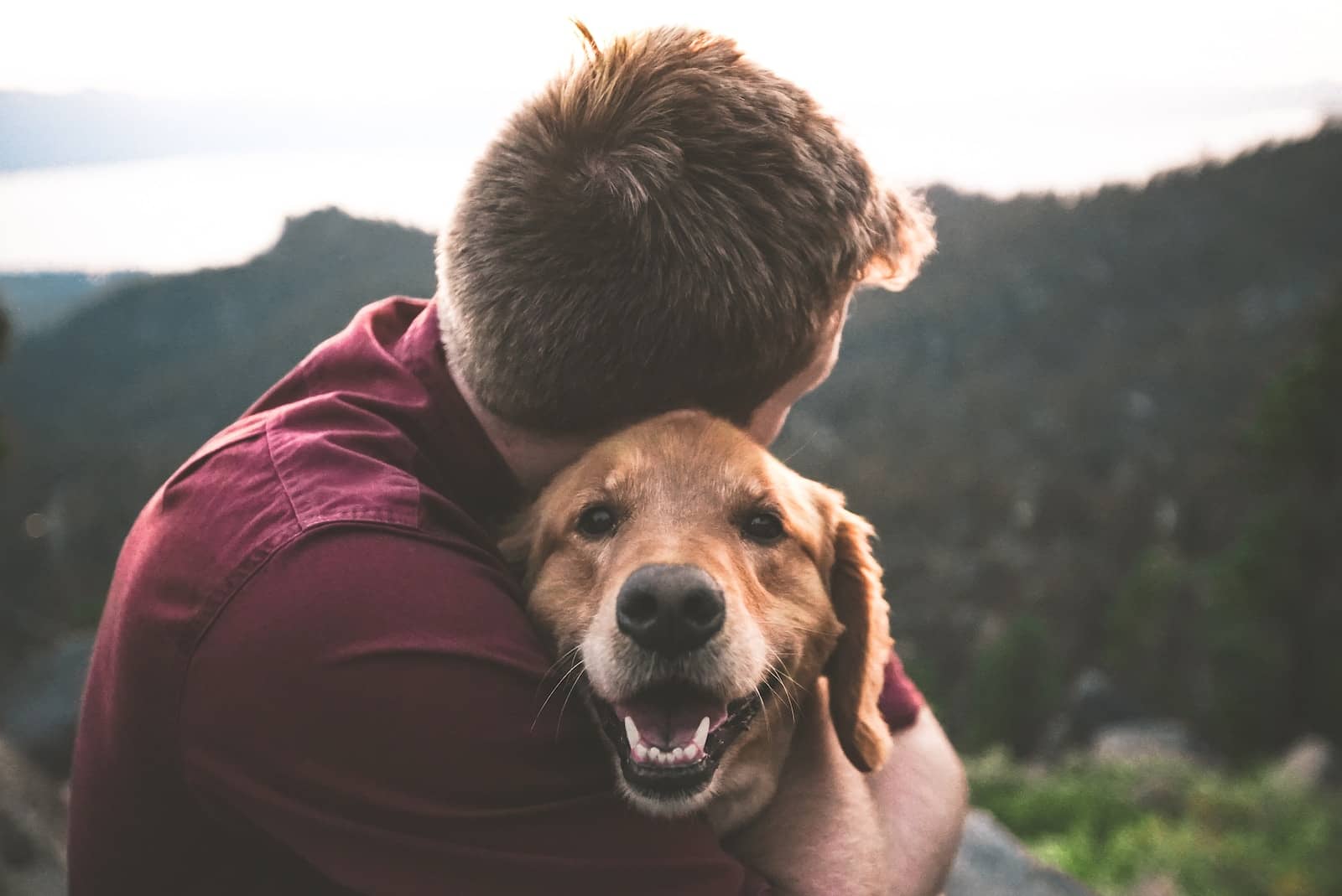 Hiccups in Dogs photo of man hugging tan dog