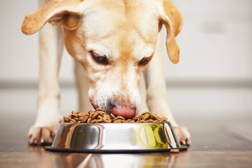Nutrisource Dog Food