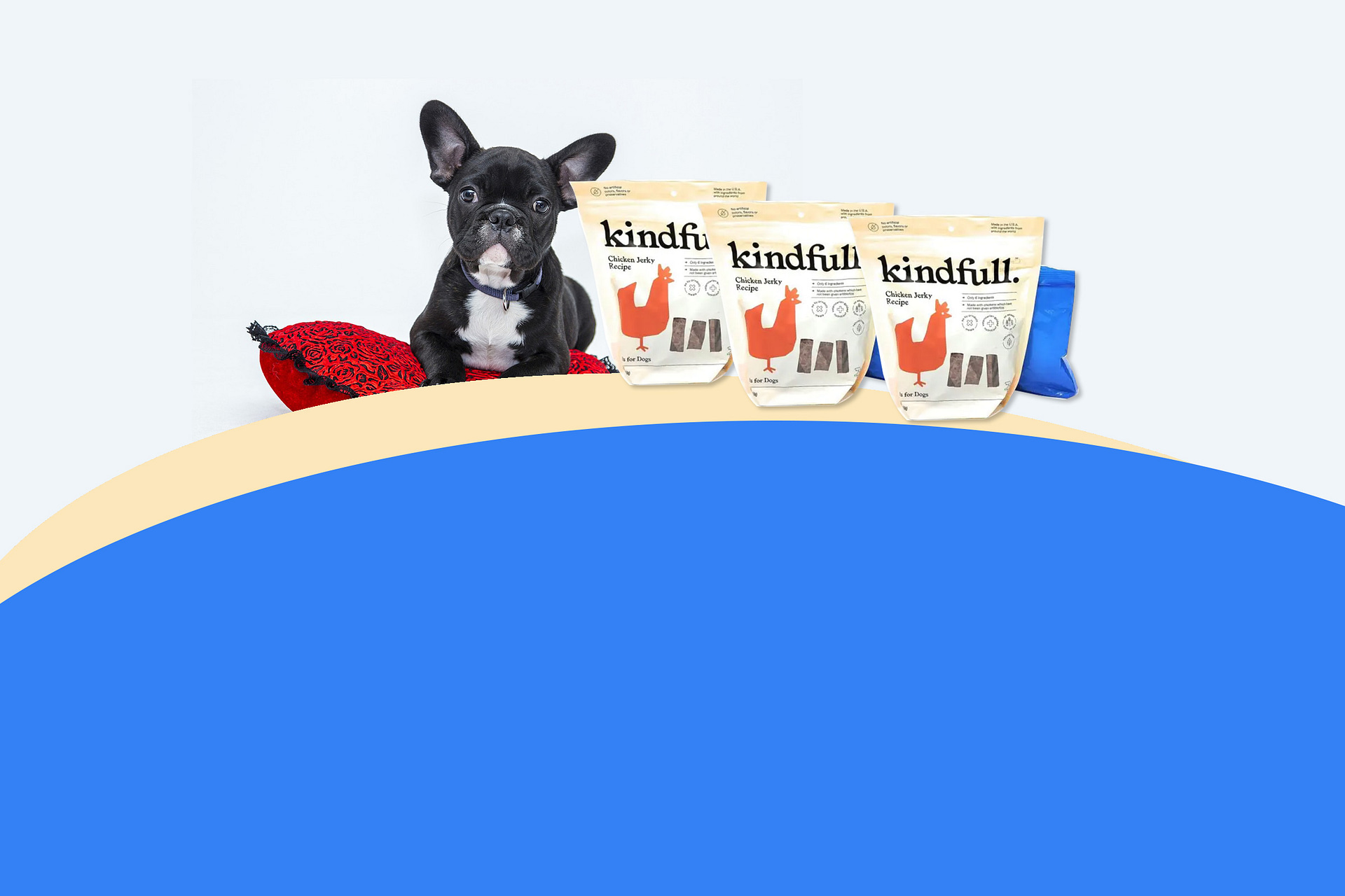 Tesadorz Bags And Kindfull Chicken Jerky Dog Treats Review 2023