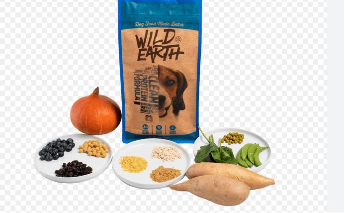 wild earth dog food