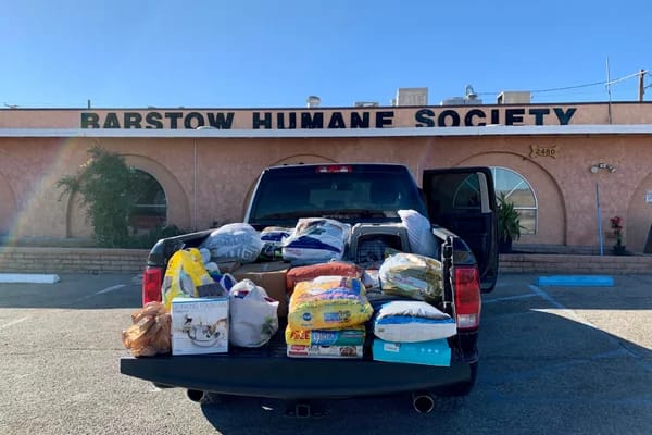 Barstow Humane Society Content Image 4