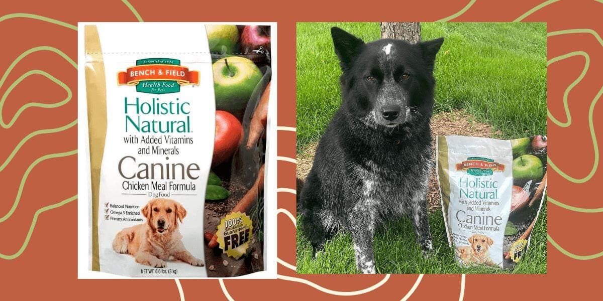 Bench And Field Holistic Natural Adult Dry Dog Food Review