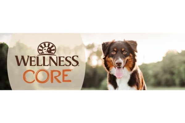 Bundle of Wellness CORE Natural Grain Free Bare Bowl Boosters Tender Dog Food