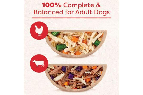 CESAR WHOLESOME BOWLS Adult Soft Wet Dog Food