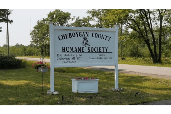 Cheboygan County Humane Society Content Image