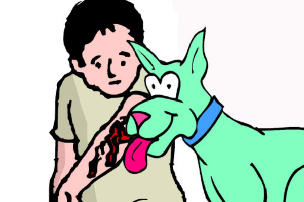 Do Dog licks heal human wounds
