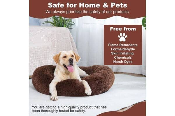 Dog Beds for Medium Dogs