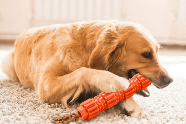 Dog Teething Toys