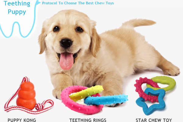 Dog Teething Toys