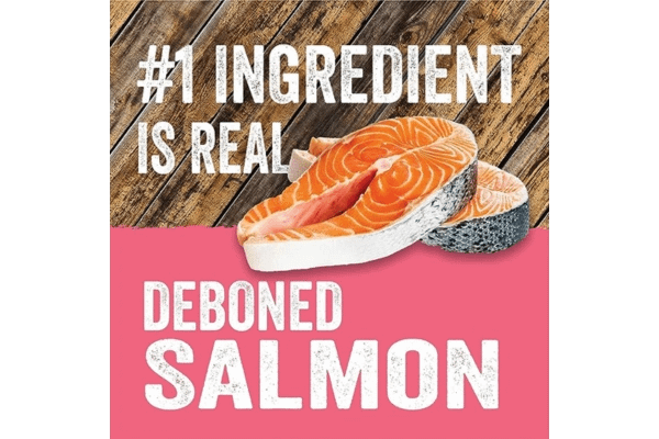Evolve Grain Free Deboned Salmon and Sweet Potato Content Image 2