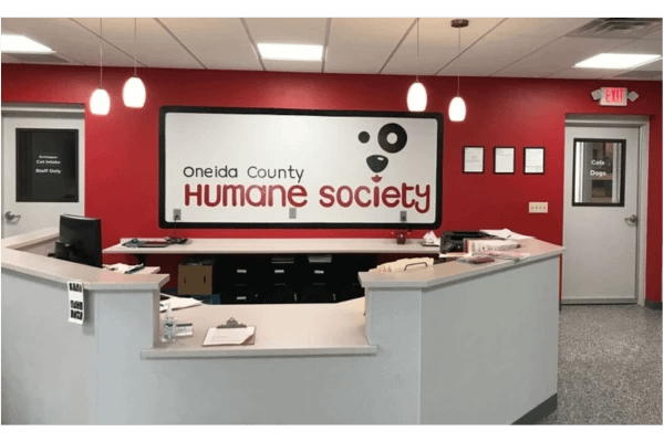 Oneida County Humane Society 3