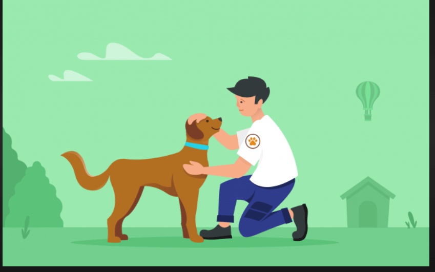How to start A Dog Rescue
