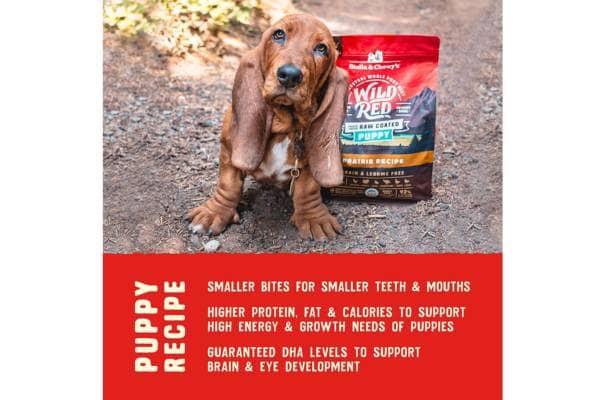's Wild Red Raw Coated Dry Dog Food