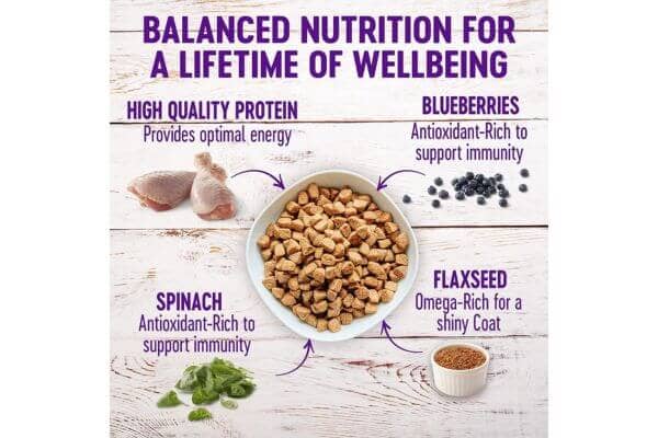 Wellness Complete Health Dry Dog Food with Grains