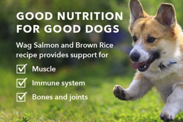 Wag Dry Dog Food Salmon and Brown Rice