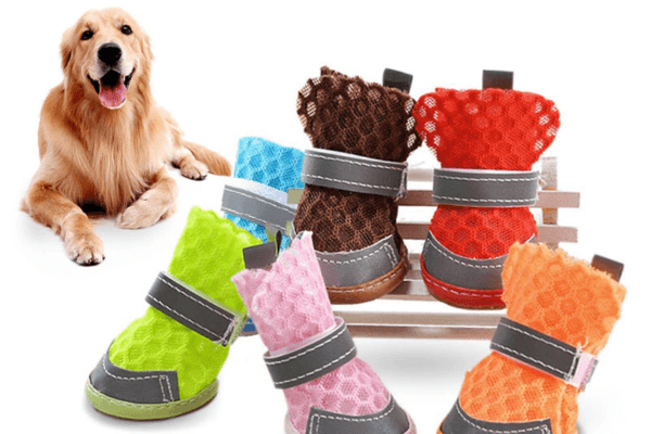 dog shoes for summer 