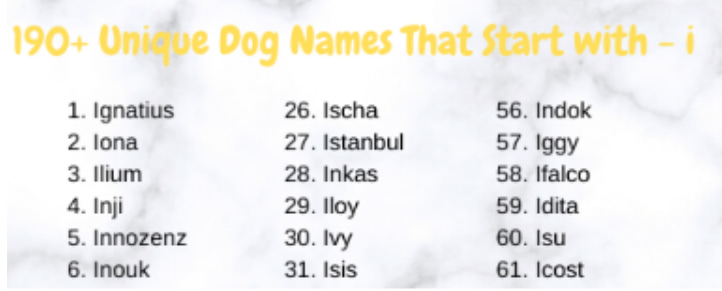 Dog Names That Start With I