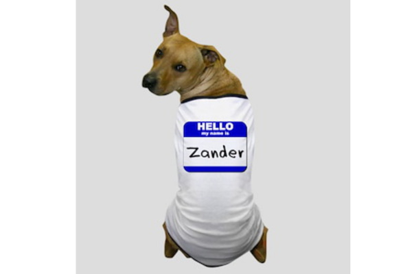 Dog Names That Start With Z
