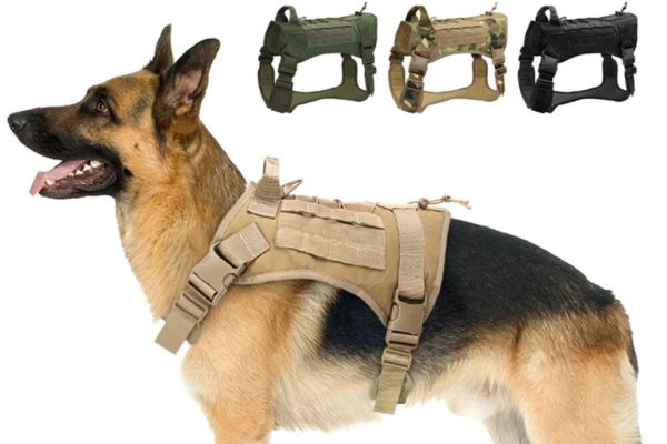 Dog Training Vest
