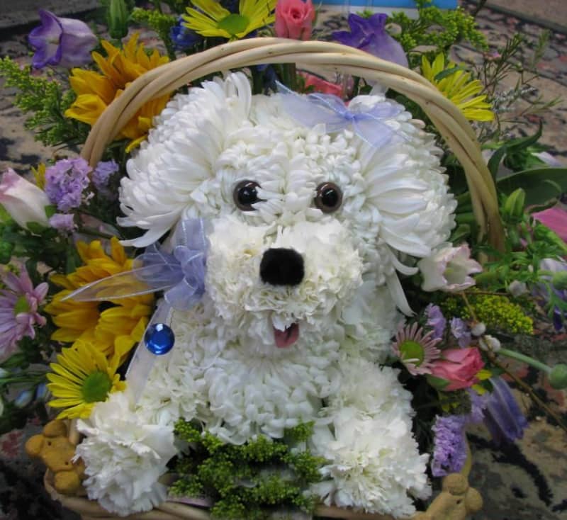 Dog Flower Arrangements