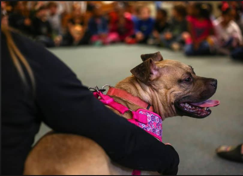 Muskegon Humane Society