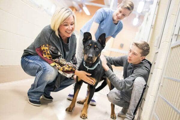 SPCA Long Beach - Bone Voyage Dog Rescue