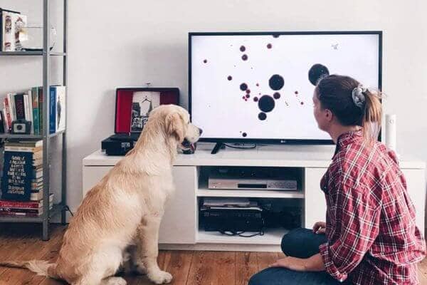 Dog TV- Dog Watching TV