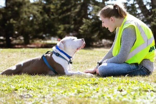 Modesto Animal Shelter - Bone Voyage Dog Rescue