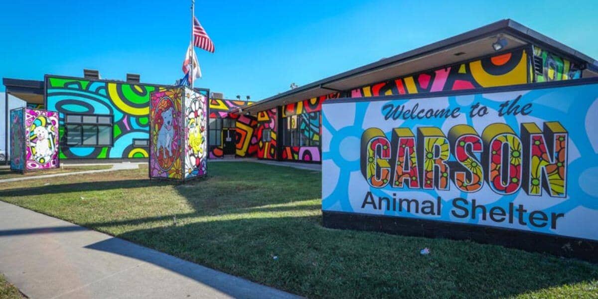 Carson spca store